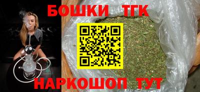 тгк Будённовск