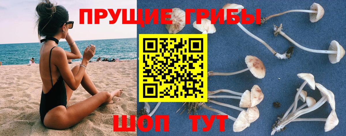 Озёры  Галлюциногенные грибы ЛСД  Вход с VPN 